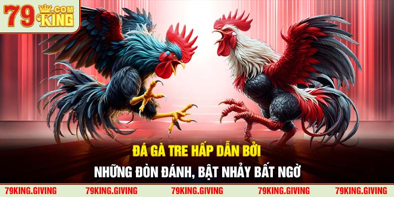 Đá gà tre hấp dẫn bởi những đòn đánh, bật nhảy bất ngờ