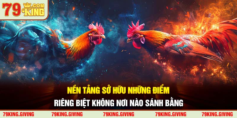 Nền tảng sở hữu những điểm riêng biệt không nơi nào sánh bằng