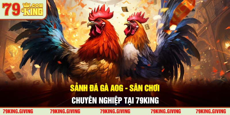 Sảnh Đá Gà AOG - Sân Chơi Chuyên Nghiệp Tại 79KING