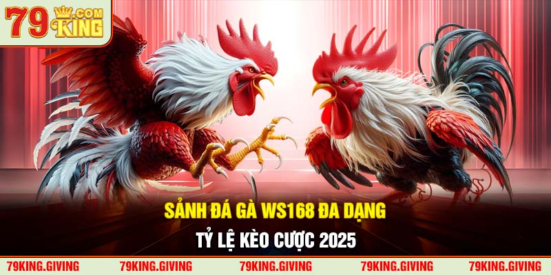 Sảnh Đá Gà WS168 - Sân Chơi Đáp Ứng Đủ Nhu Cầu Hội Viên