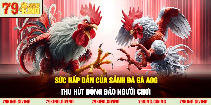 Sức hấp dẫn của sảnh đá gà AOG thu hút đông đảo người chơi